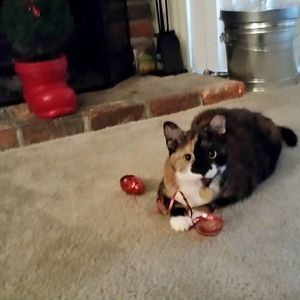 Meet your Posher, Beth